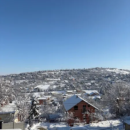 Apartman Petra Kamenica *