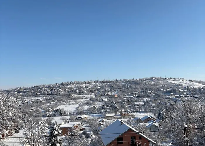 Apartman Petra Kamenica *